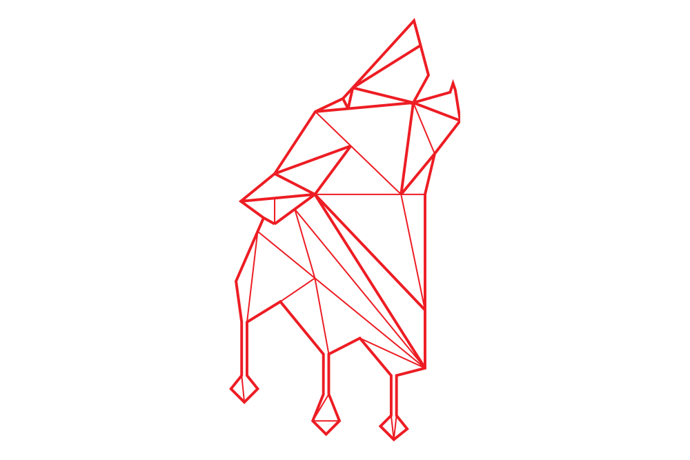 Website Progress Update